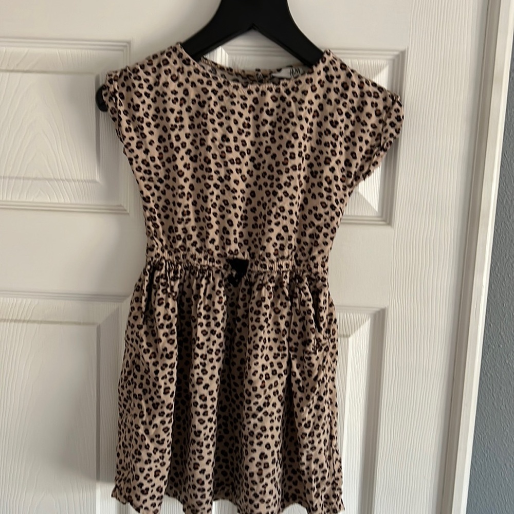 H&M Leopard Dress with pockets